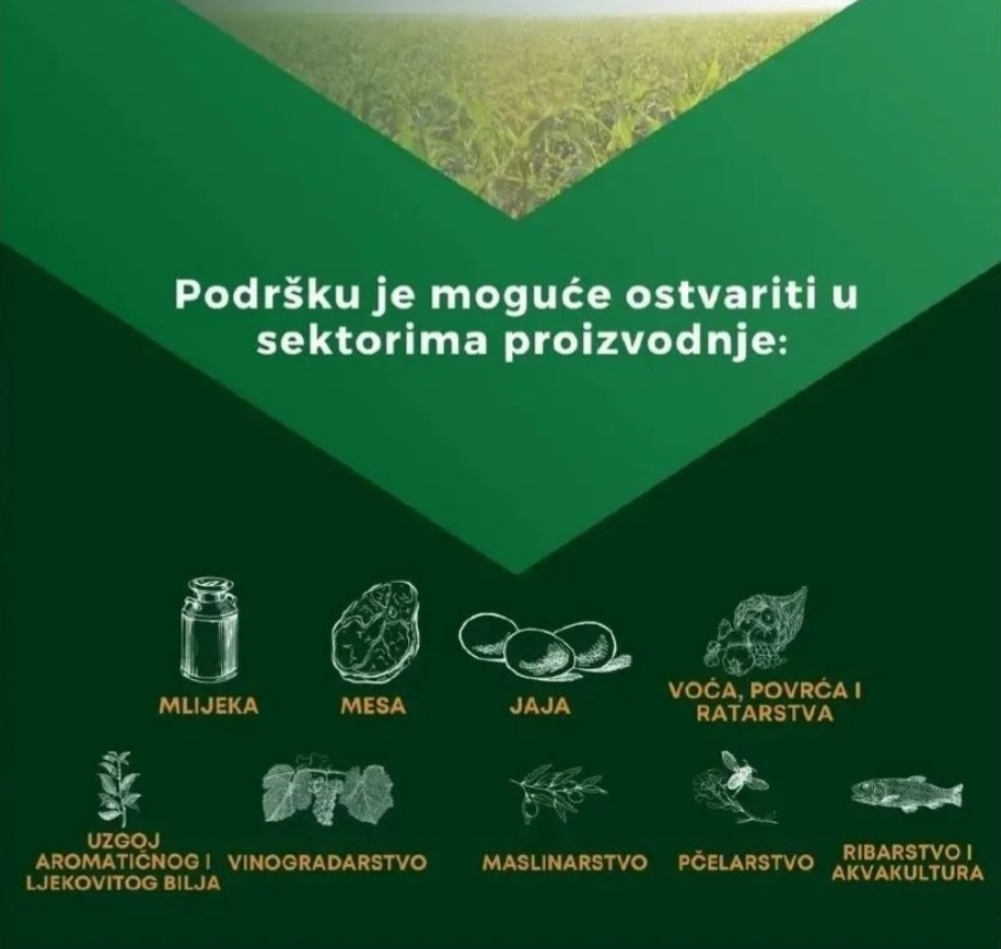 Prezentacija Petog Ipard javnog poziva za mjeru 1 - Investicije u fizički kapital poljoprivrednih gazdinstava
